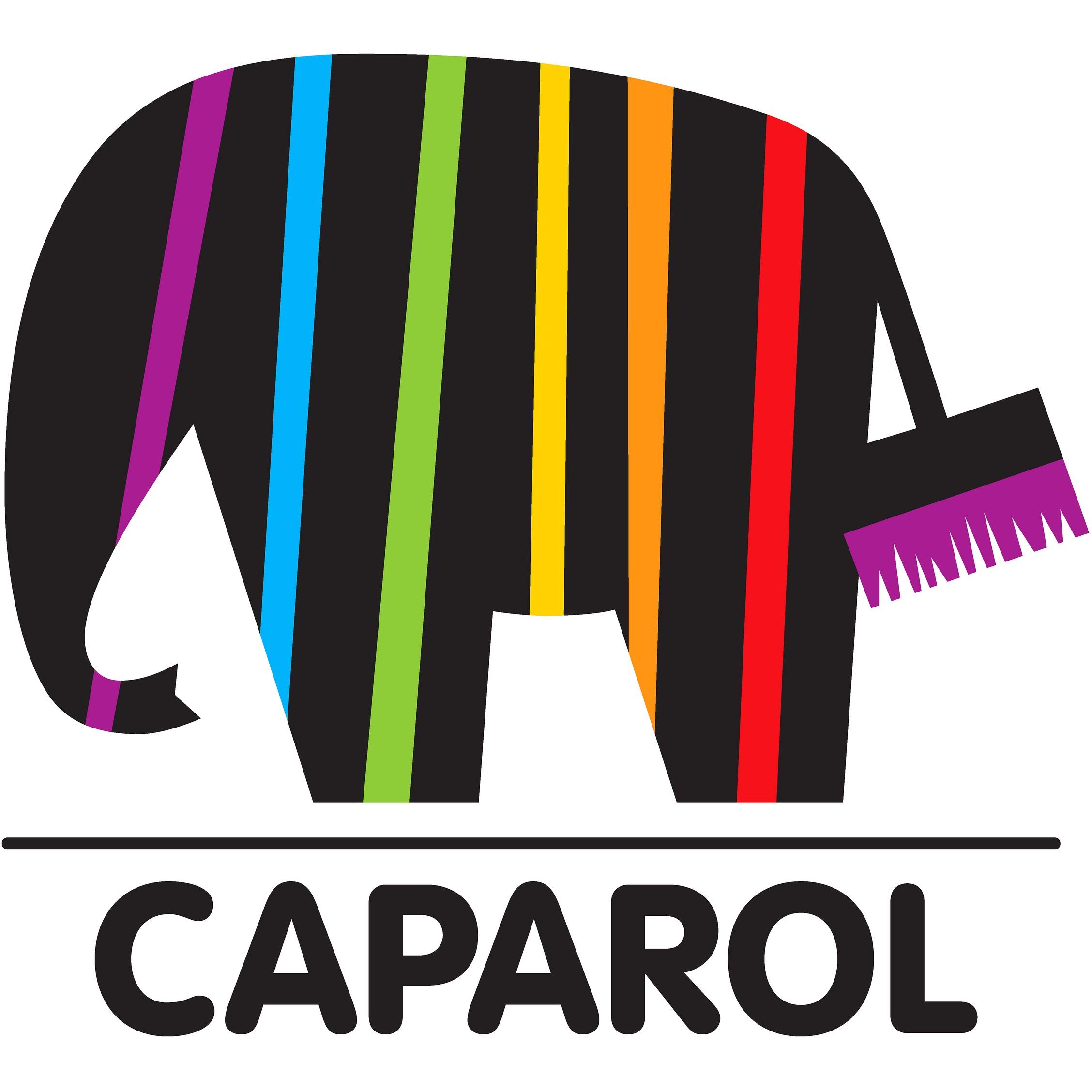 logo-caparol-quadratisch-hersteller.jpg